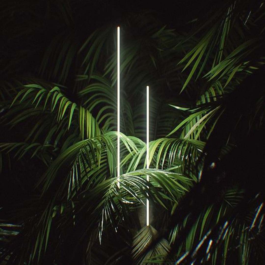 Biophilic lighting design integrating nature